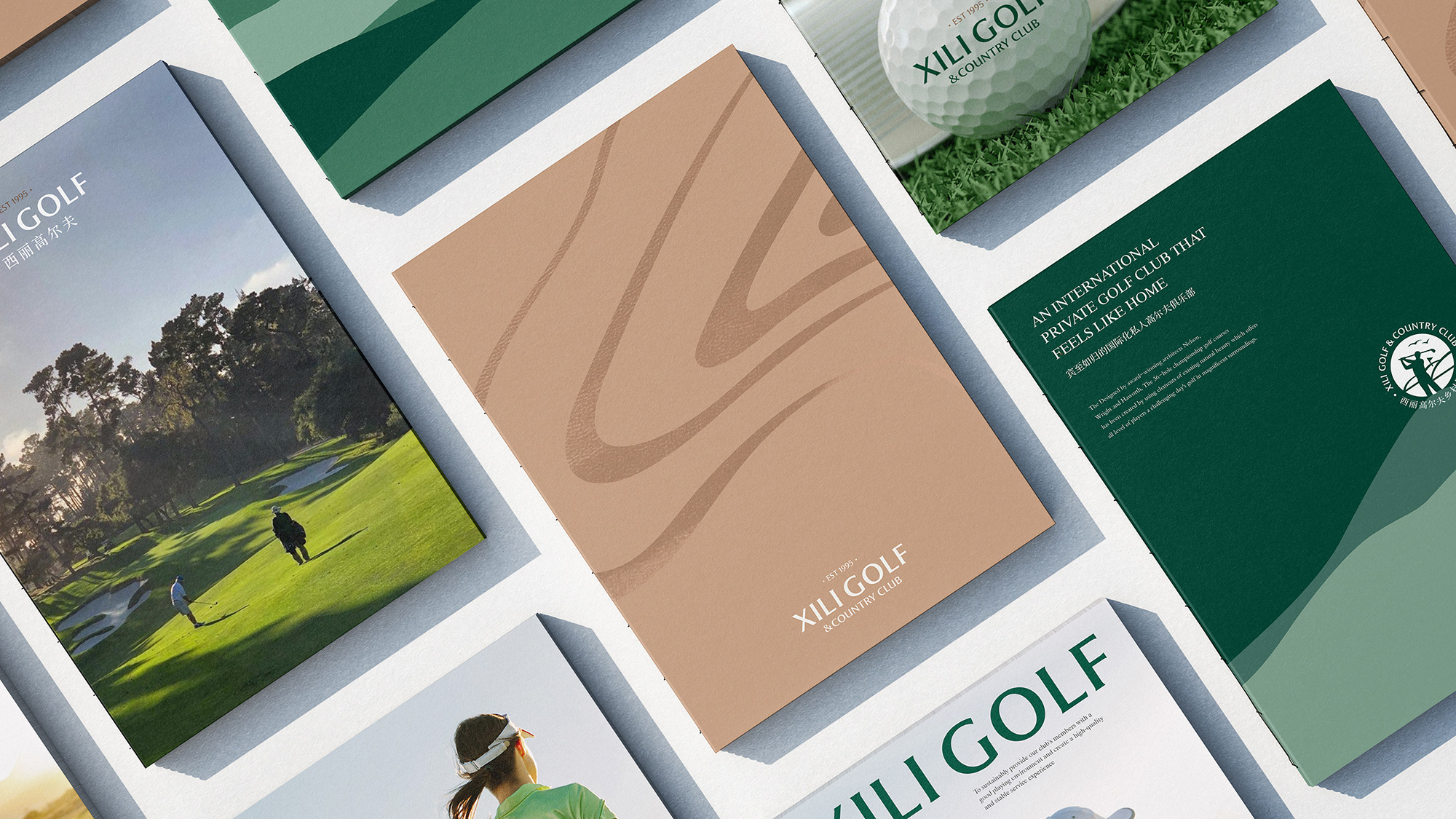 品牌Logo优化设计